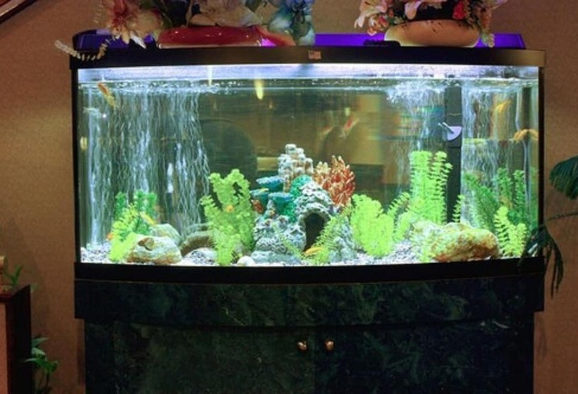 Мотель Garden City Inn