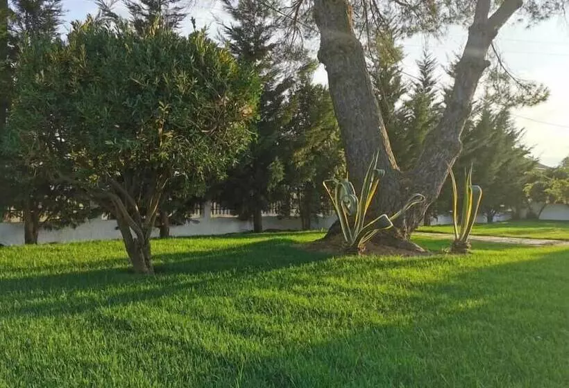 ペンション Casa Das Portas