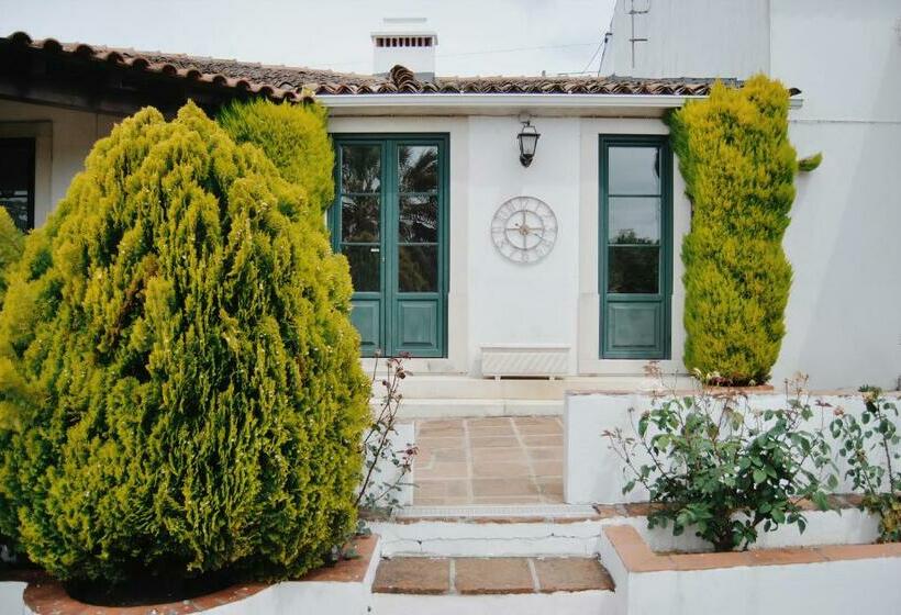 膳宿费 Quinta De São Pedro De Tomar