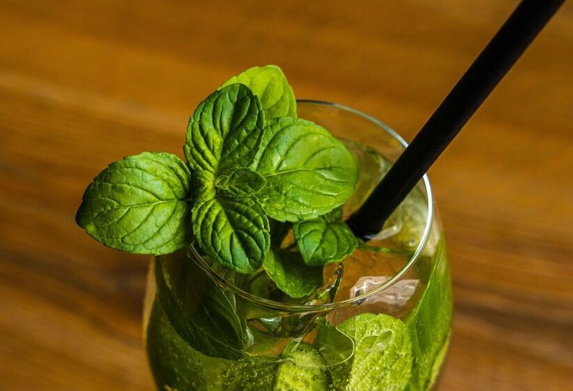 مبيت وإفطار Moro Inn