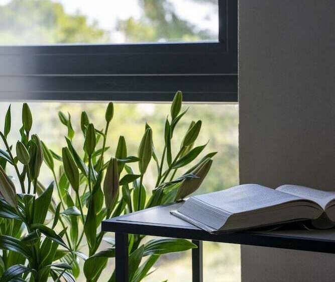 مبيت وإفطار Moro Inn