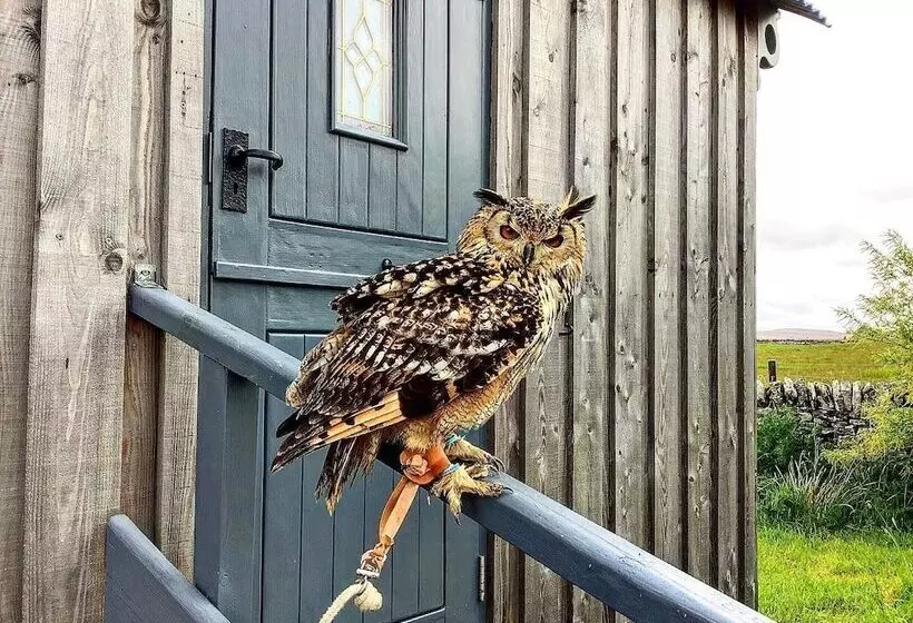 Bespoke 1 Bed Cottage In Dunbeath Village