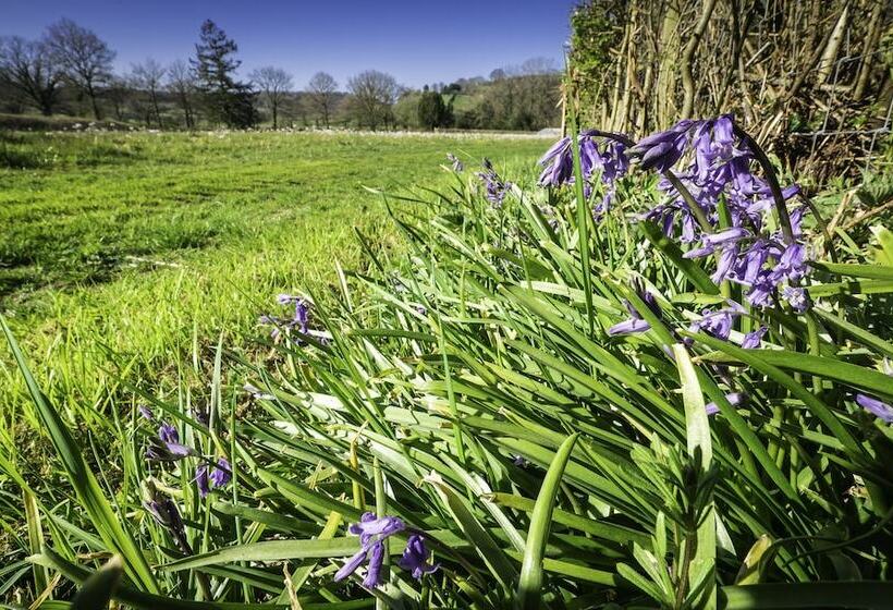 Hotel 2 Double Bed Caravan   Secure Parking And Wifi