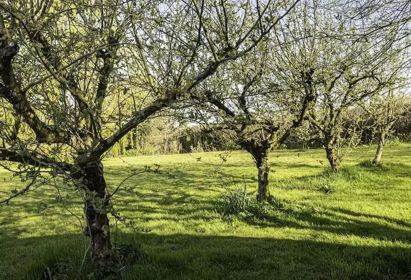 Hotelli 2 Double Bed Caravan   Secure Parking And Wifi