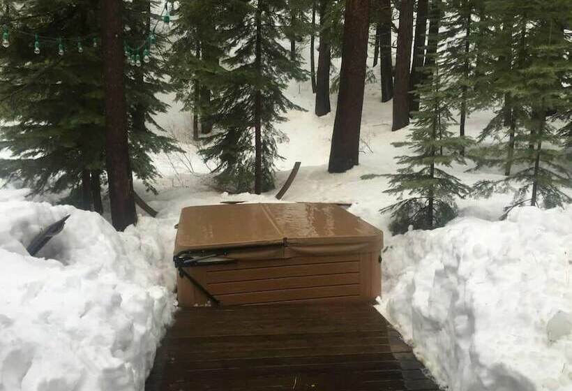 Northwoods Blvd 2   Zephyr