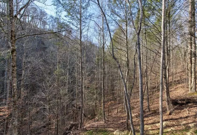 Twisted Pines By Smoky Cove Resort