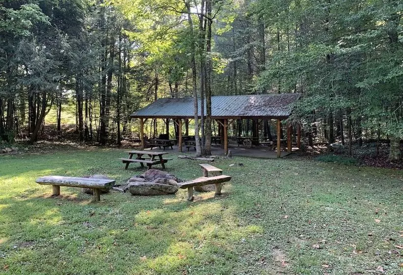 Twisted Pines By Smoky Cove Resort