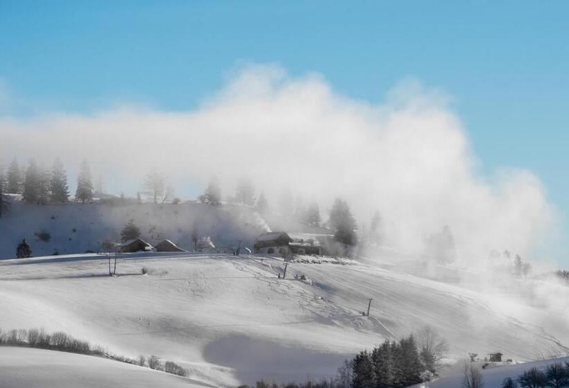 Aktiv Und Wellnesshotel Gutjahr