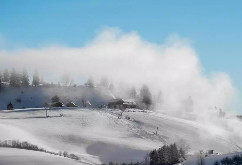 Aktiv  Und Wellnesshotel Gutjahr
