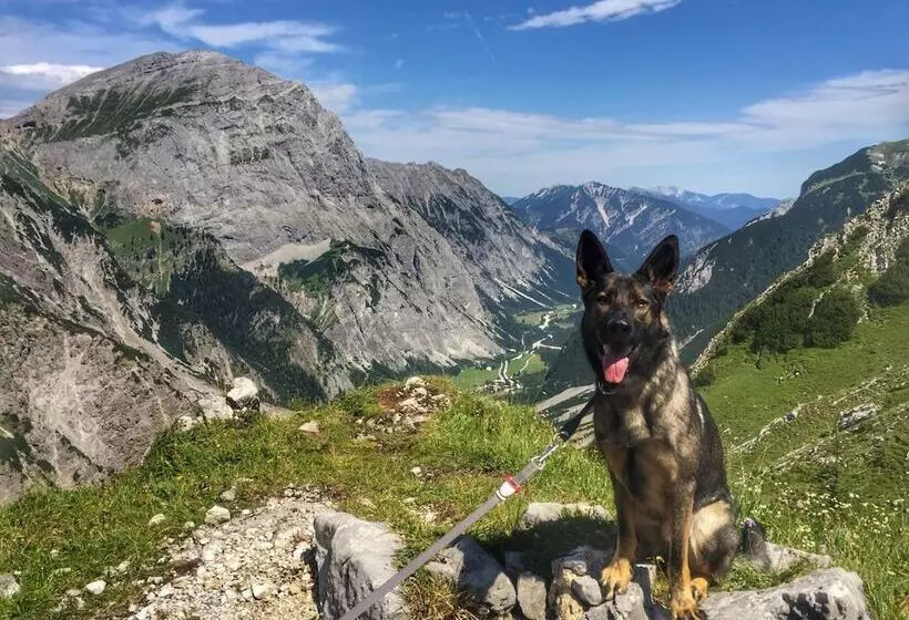 Bed and Breakfast Café Pension Erika