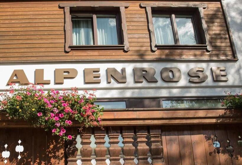 فندق Alpenrose