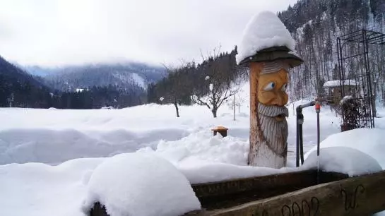 Bauernhof Hauserbauer