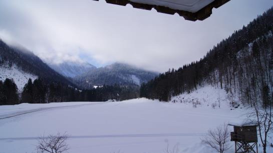 Bauernhof Hauserbauer