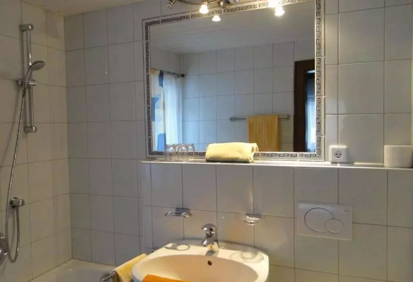 Отель Pension Elisabeth