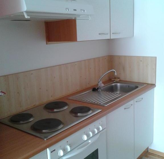 호텔 Pension Elisabeth