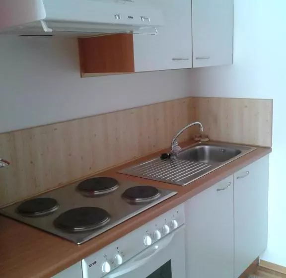 Отель Pension Elisabeth