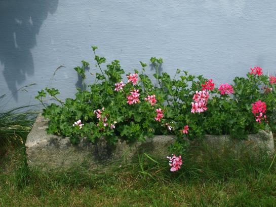 ホテル Ferienhof Streicher