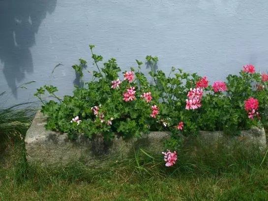 Отель Ferienhof Streicher