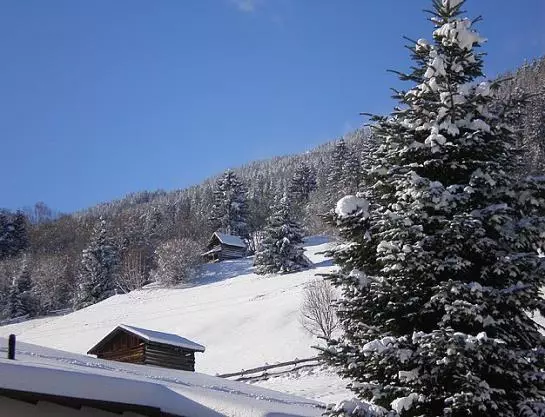 Hotel Frischmann