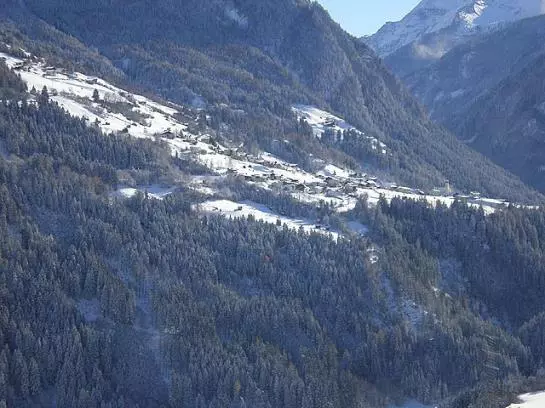 Hotel Frischmann
