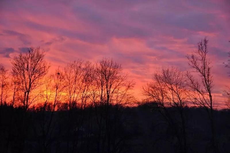 Отель Garni Toscanina   Adults Only