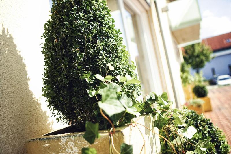 호텔 Garni Toscanina Adults Only