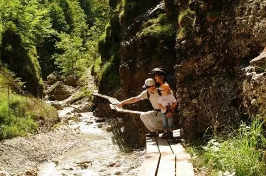 Gästehaus Pension Bendler