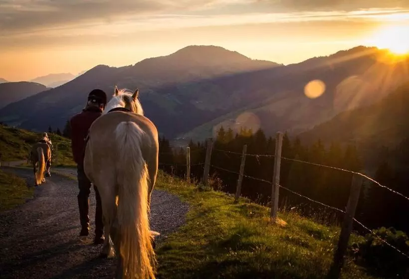 Отель Haflingerhof