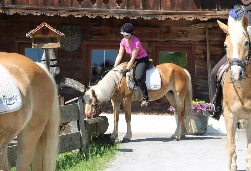 Отель Haflingerhof