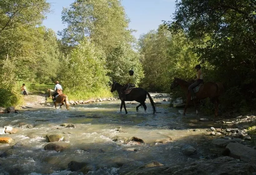 Отель Haflingerhof