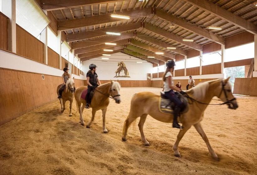 ホテル Haflingerhof