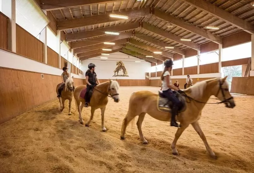 Отель Haflingerhof