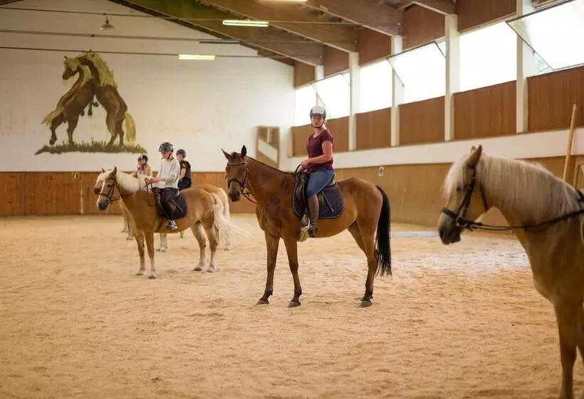 Отель Haflingerhof