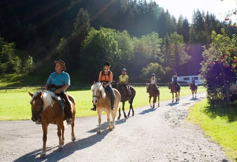 Отель Haflingerhof