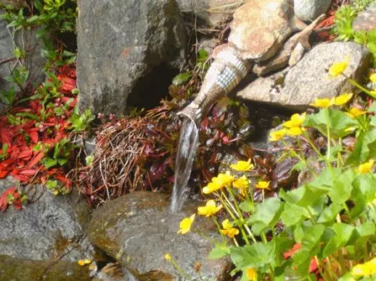 ホテル Haus Bergwind