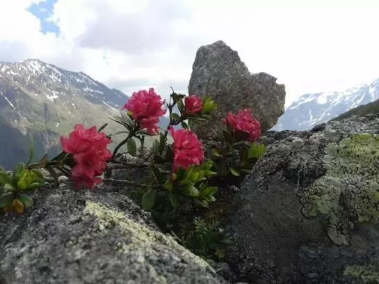 ホテル Haus Bergwind