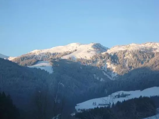 Пансион Landgasthof Dorferwirt