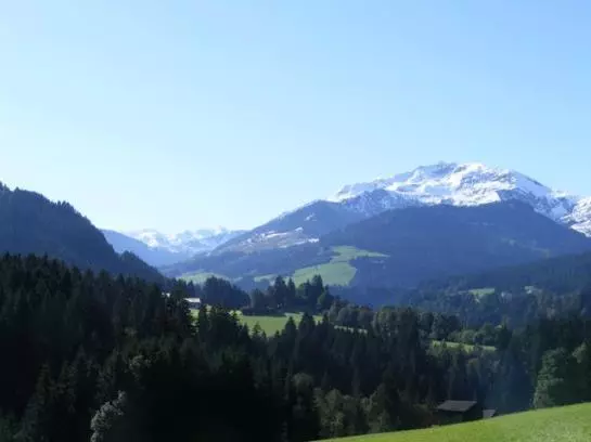 Пансион Landgasthof Dorferwirt