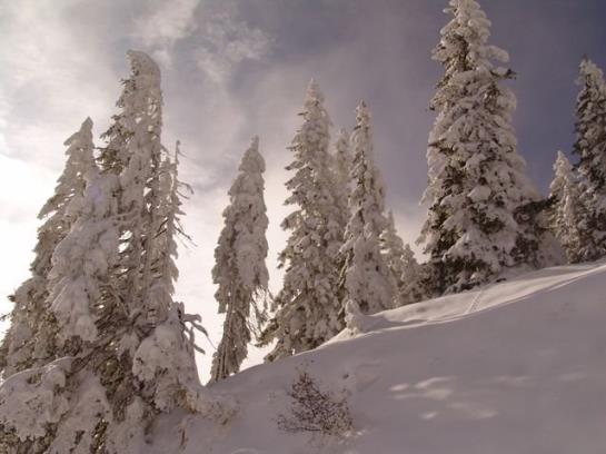 ペンション Landgasthof Dorferwirt