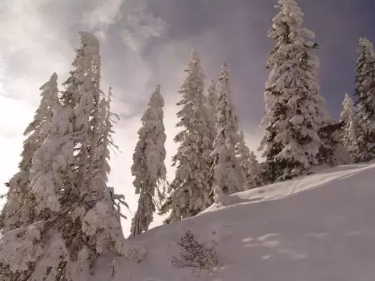 Пансион Landgasthof Dorferwirt