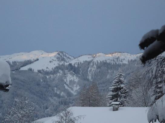 ペンション Landgasthof Dorferwirt