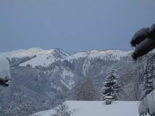 Пансион Landgasthof Dorferwirt