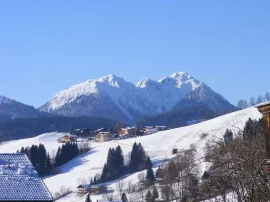 Пансион Landgasthof Dorferwirt