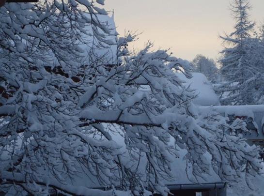 ペンション Landgasthof Dorferwirt