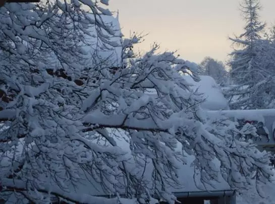 Пансион Landgasthof Dorferwirt