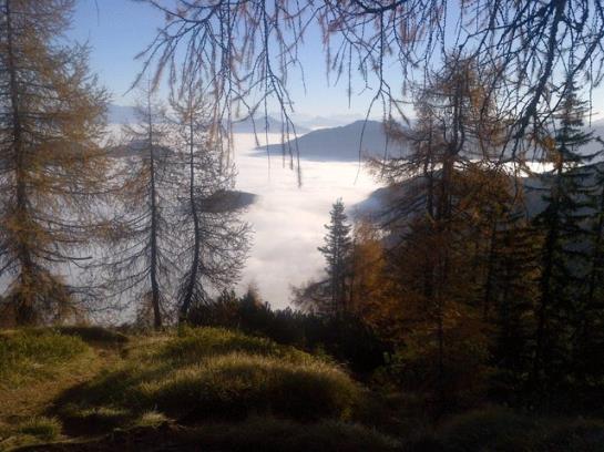 ペンション Landgasthof Dorferwirt