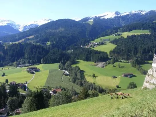 Пансион Landgasthof Dorferwirt