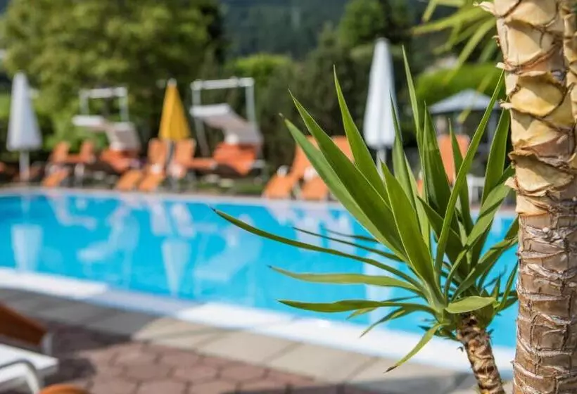 Отель Magdalena Im Zillertal   Urlaub Mit Hund