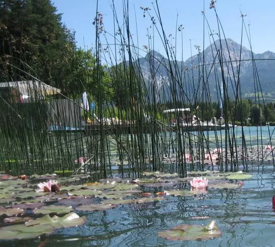 تختخواب و صبحانه Pension Seehoehe