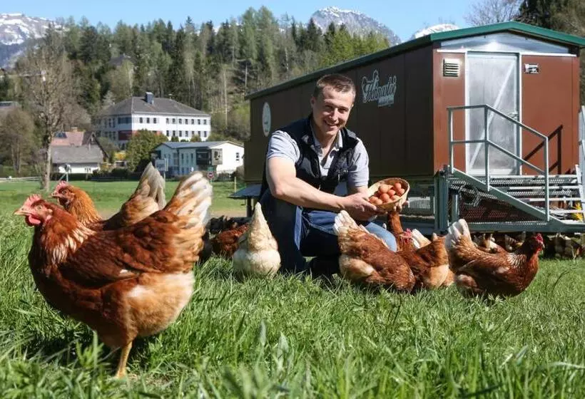 酒店 Puttererseehof